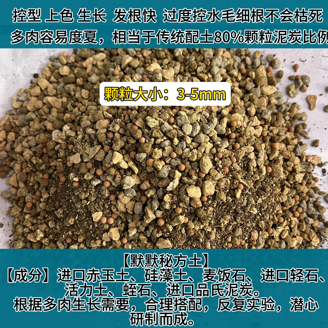 80%默默自制多肉配方土老桩水桩爱徒品种等控型上色生长