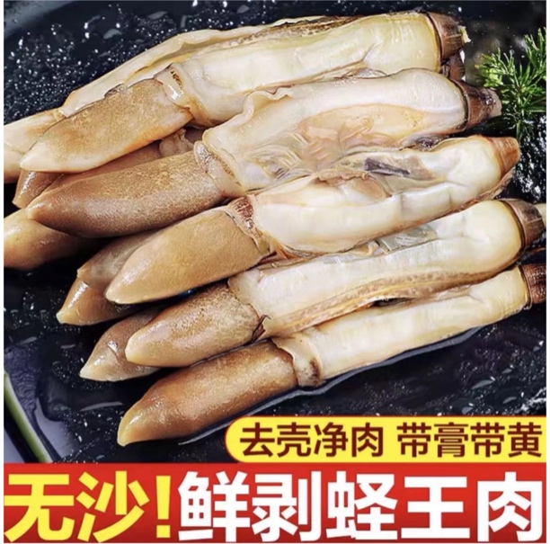 【大个带黄蛏王肉】味道鲜美开口去沙囊速冻锁鲜发货500g/包