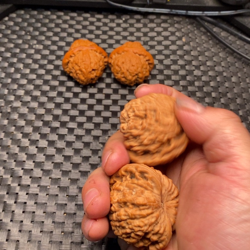 【闪购商品】文玩核桃把件张****播