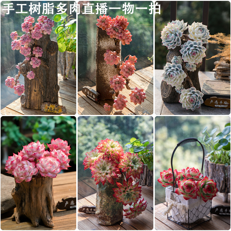 一物一拍卢愿手绘水晶树脂粘土手工艺多肉作品仿真花卉果蔬假花