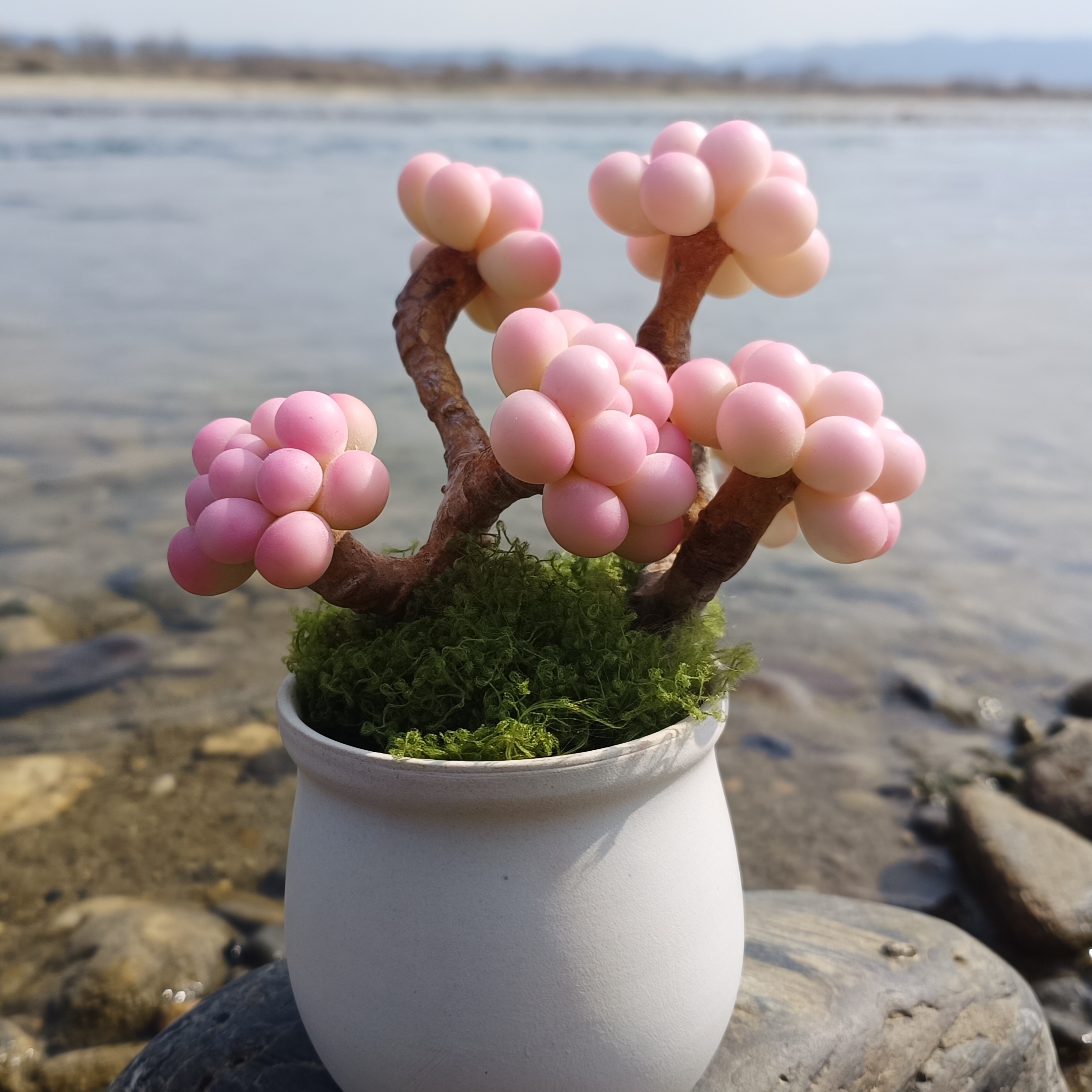 树脂粘土永生多肉桃蛋（纯手工制作/一物一拍/请勿自行下单）