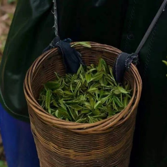一物一拍普洱生茶蜜香 花香浓郁 