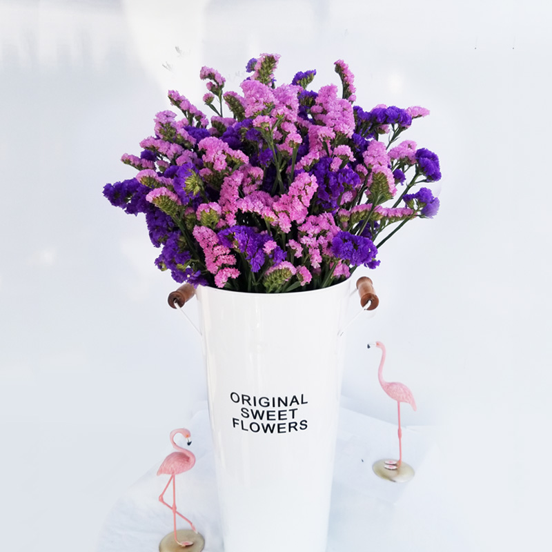 顺丰直发勿忘我鲜花干花云南昆明基地