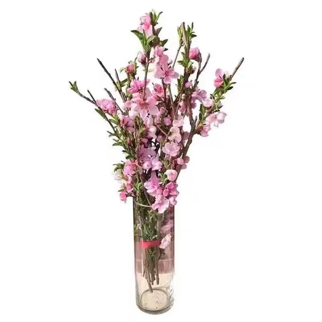 【干枝粉梅】遇水开花 高端美观水培花卉室内客厅绿植年宵花鲜花枝