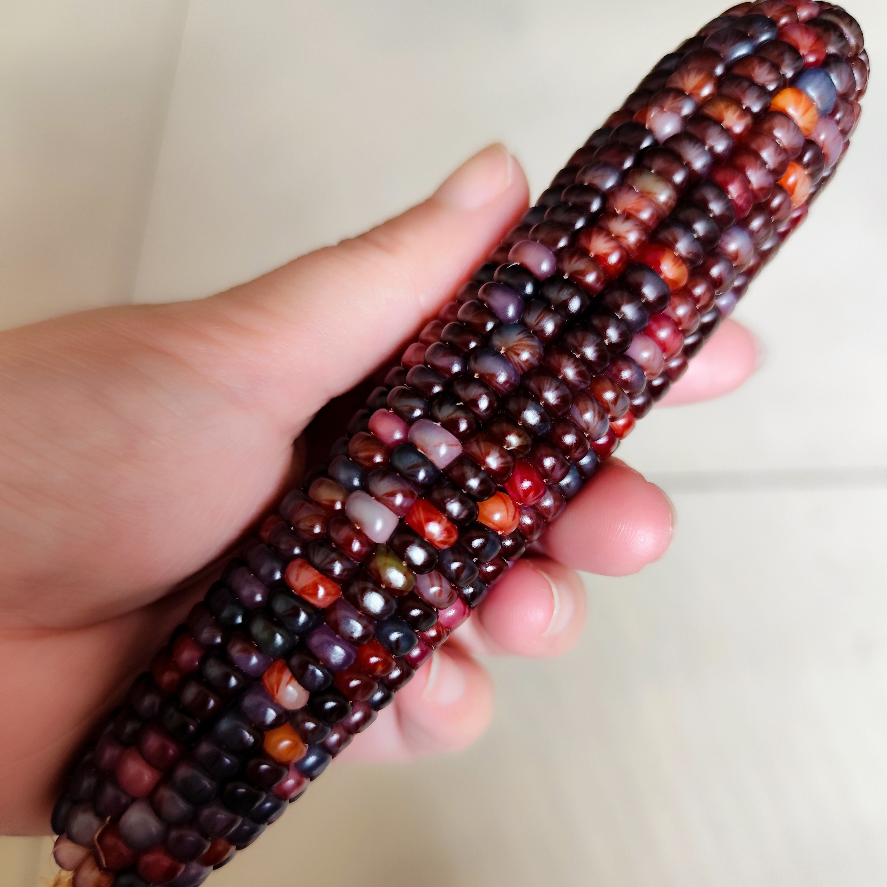 盘玩小玉米（一物一拍）