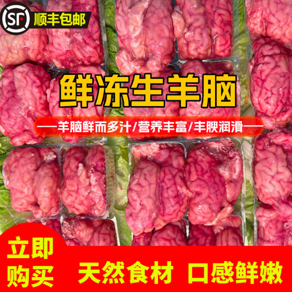 20副 冰鲜羊脑 对脑完整的 煲汤火锅食材卤羊脑