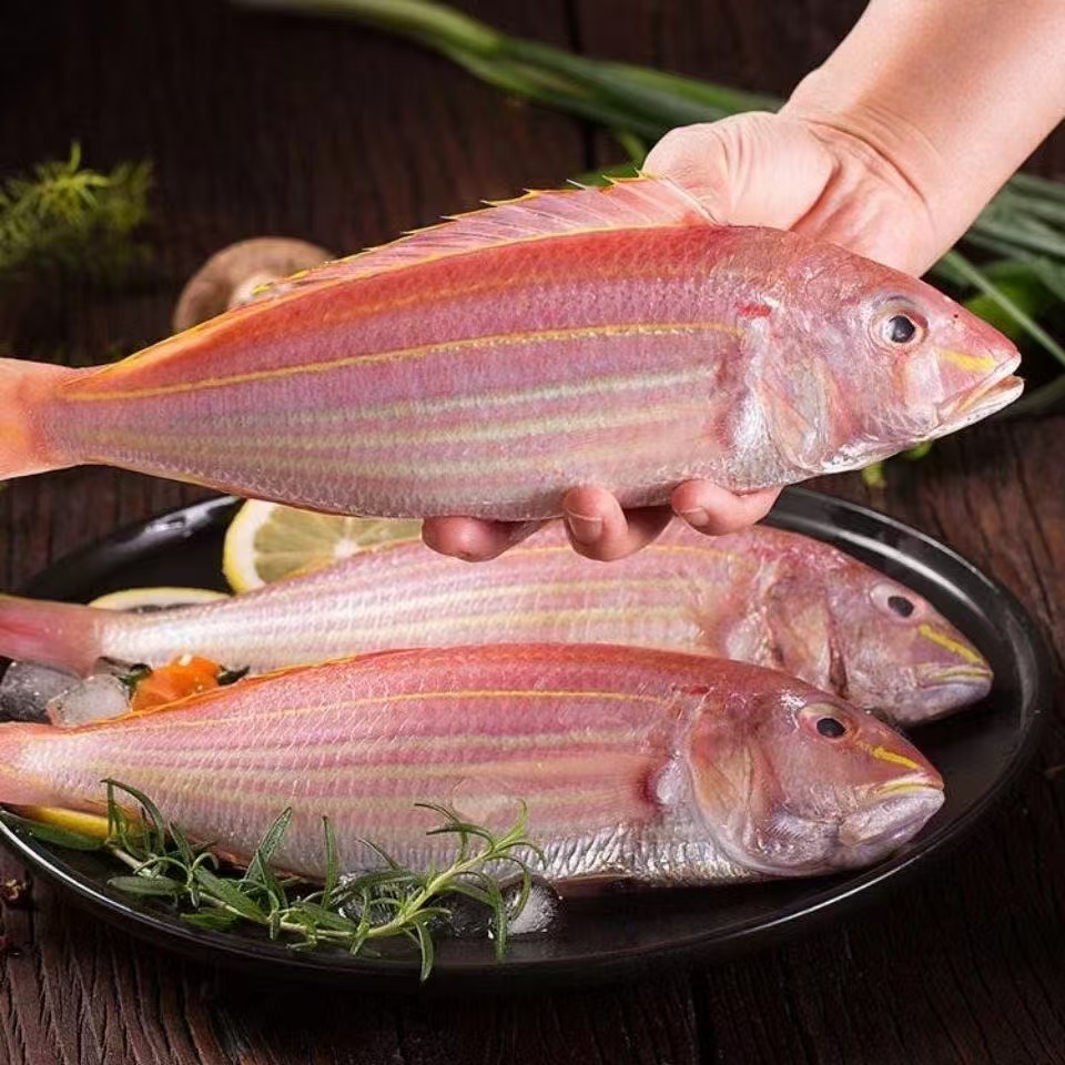 广东新鲜金丝鱼【1斤2-3条，到手4斤】