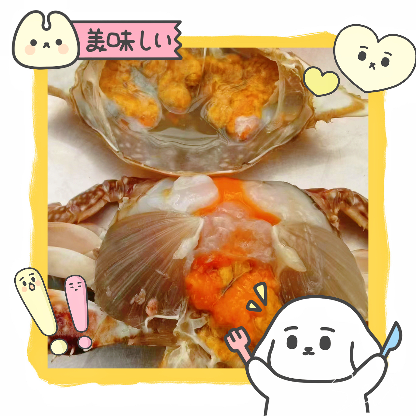(小由生鲜)生呛酱母蟹满黄螃蟹东港当地飞蟹海鲜腌制生食营养冷冻