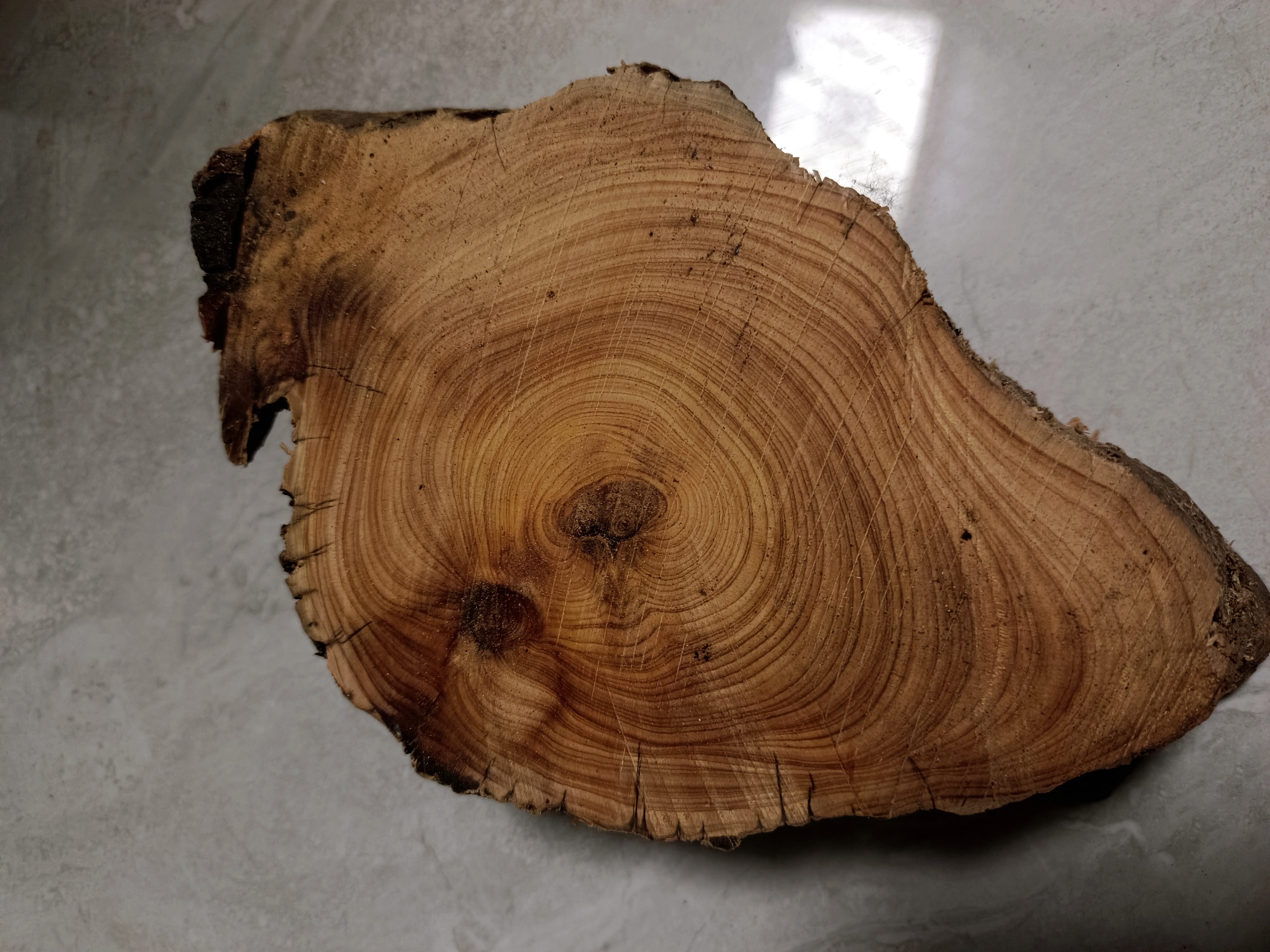 北太行崖柏精品小底座。