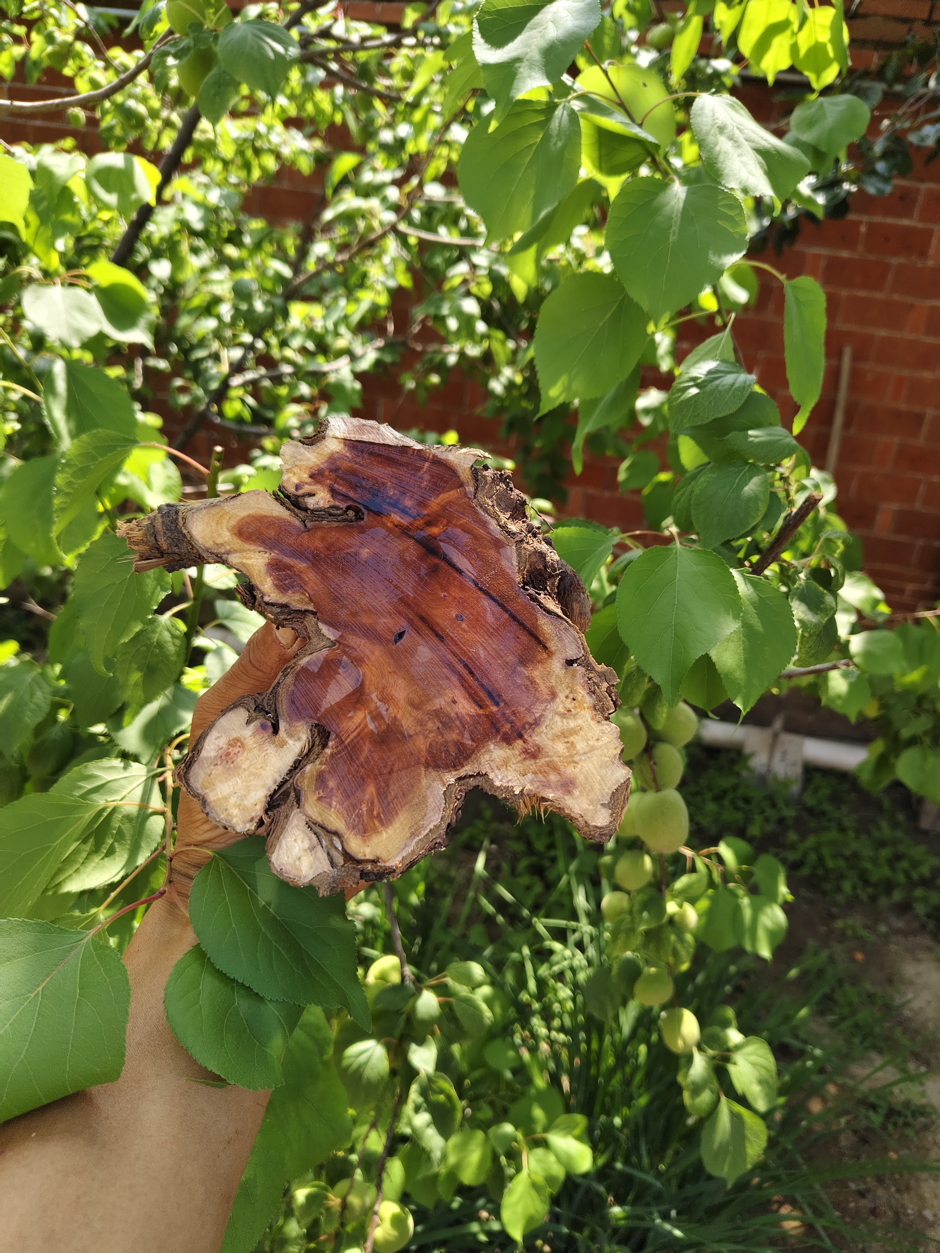 正宗精品火琉璃小摆件儿。