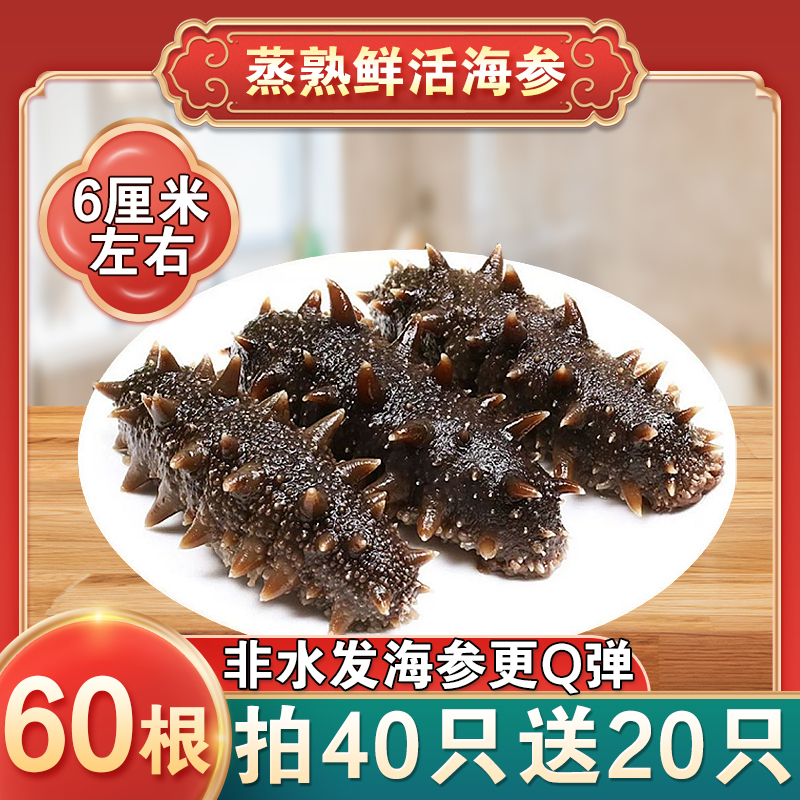 大连底播辽品质刺参开袋即食底播刺参顺丰包邮6厘米买40根送20根