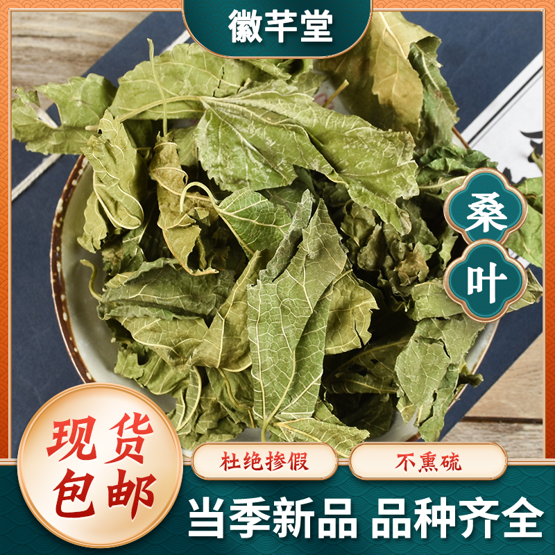 干桑叶 新货正品桑叶泡水霜后桑叶老桑树可搭配玉米须品质保证
