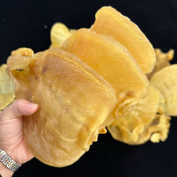 飘飘姐 原产地金兰赤嘴公胶 现挑现拍