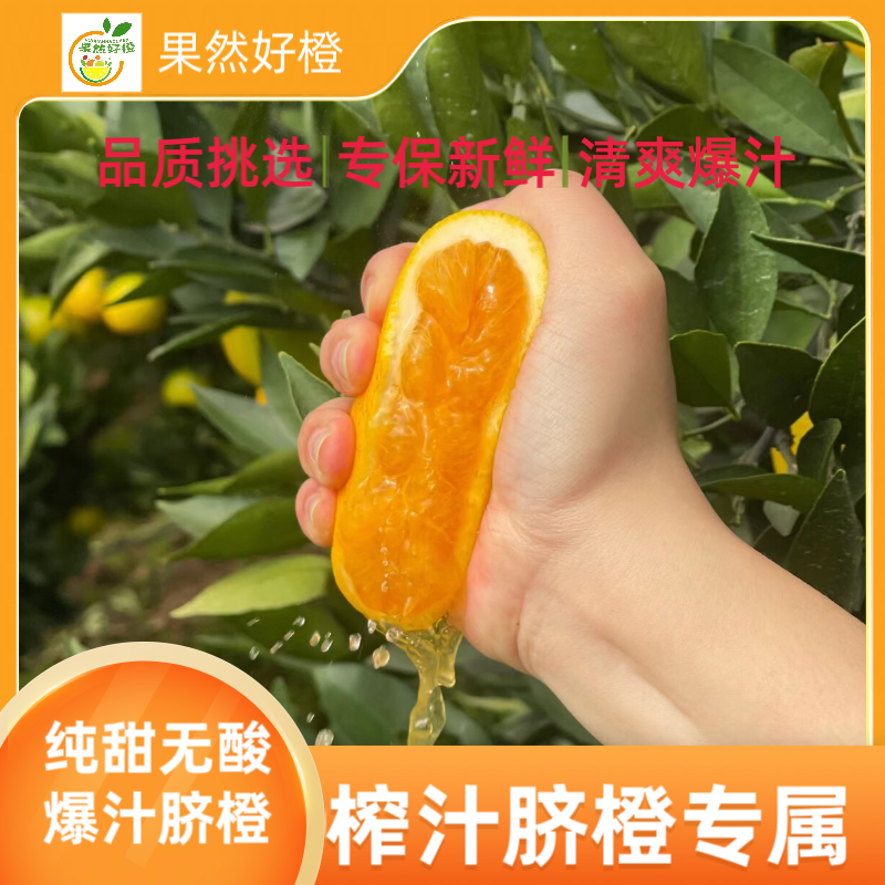 【榨汁专属】正宗脐橙现摘现发 榨汁摆摊爆汁新鲜水果鲜甜 