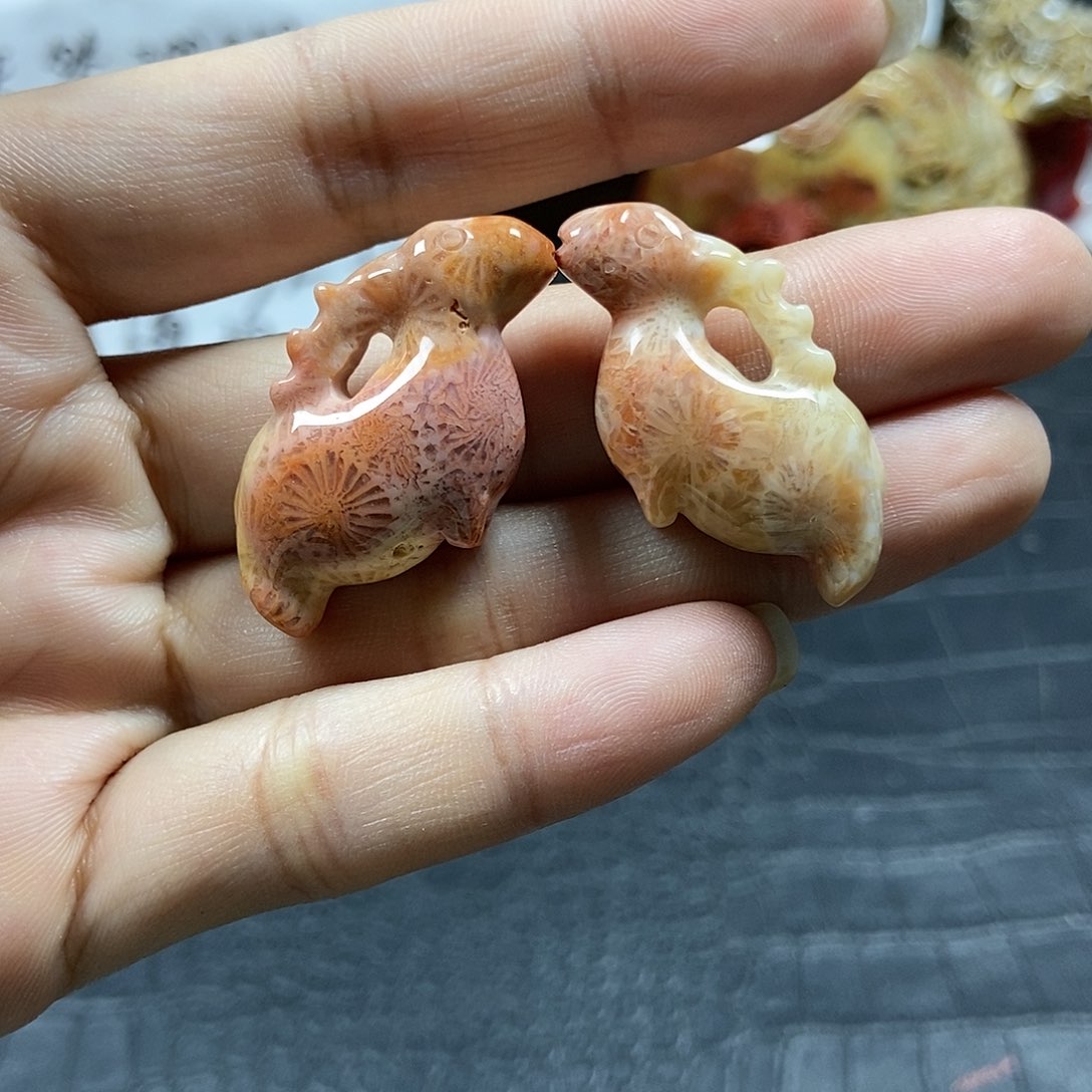 硅化珊瑚（珊瑚玉）串未镶嵌45