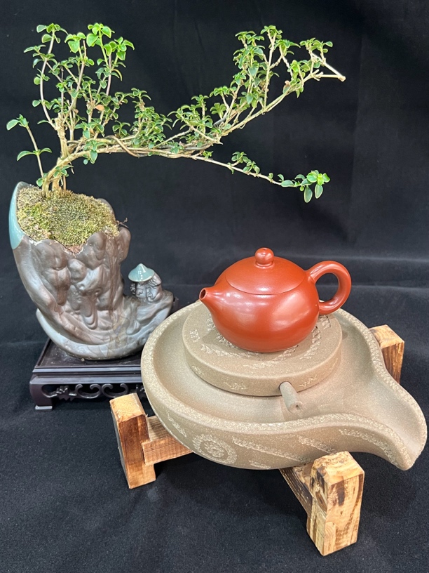 90cc左右西施壶宜兴黄龙山原矿朱泥半手工制作～青韵定制款茶壶