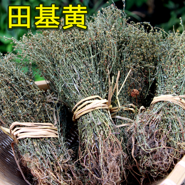 2025年新货赣南田基黄根茎地耳草干货整棵黄花草江西250g/500g