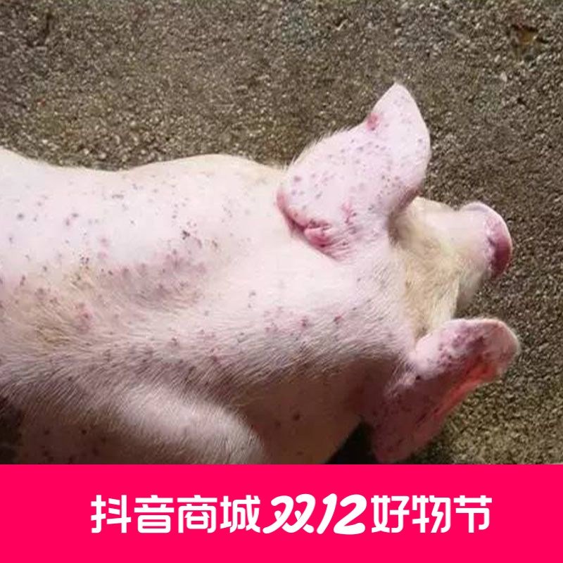 兽用皮炎湿疹红斑痘毒康抗病毒皮炎红痘湿疹疙瘩猪牛羊皮肤瘙痒