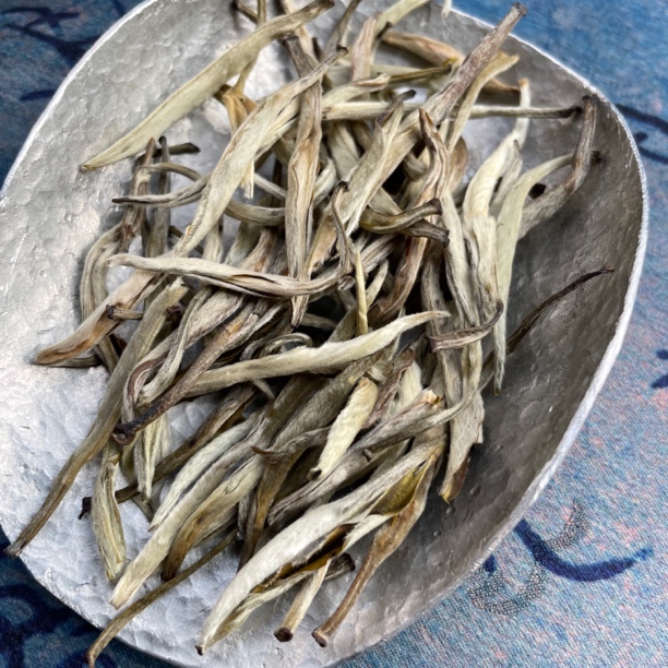 茉莉花茶嫩芽茶王新茶广西横县茉莉银针单芽浓香型花香茶叶袋装