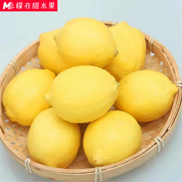 安岳黄柠檬5斤大果180g+产地水果直发新鲜现摘切片榨汁试吃3-4枚