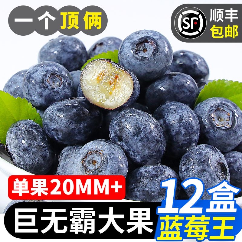 蓝莓新鲜当季水果蓝梅鲜果高山怡颗甜蓝莓孕妇即食大果速发
