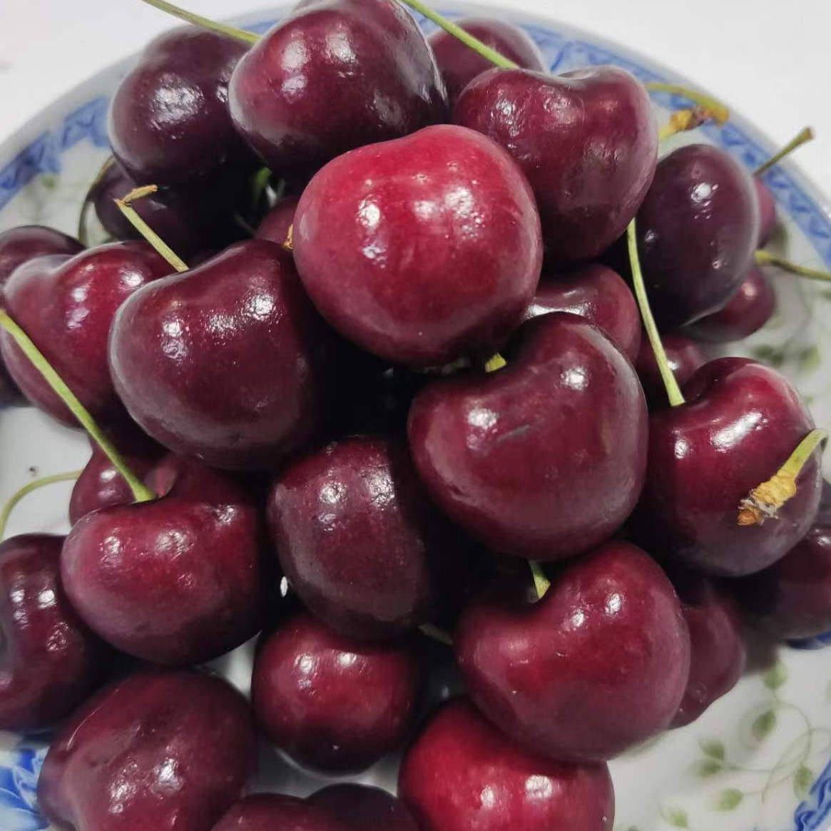 智利进口车厘子顺丰空运新鲜水果礼品5斤孕妇1J-4J 内附果径卡