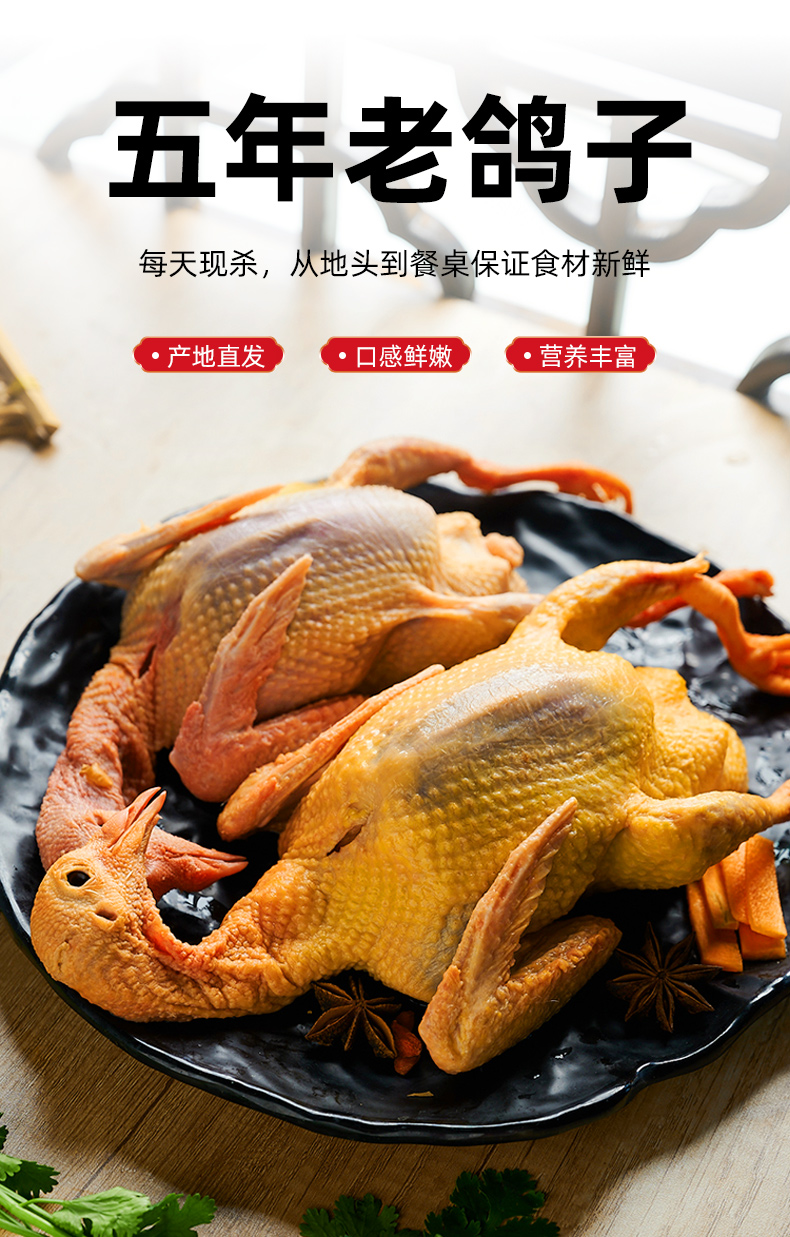 5年老鸽子土鸽子鸽子肉新鲜鸽子新鲜现杀鸽子炖汤散养乳鸽生鲜