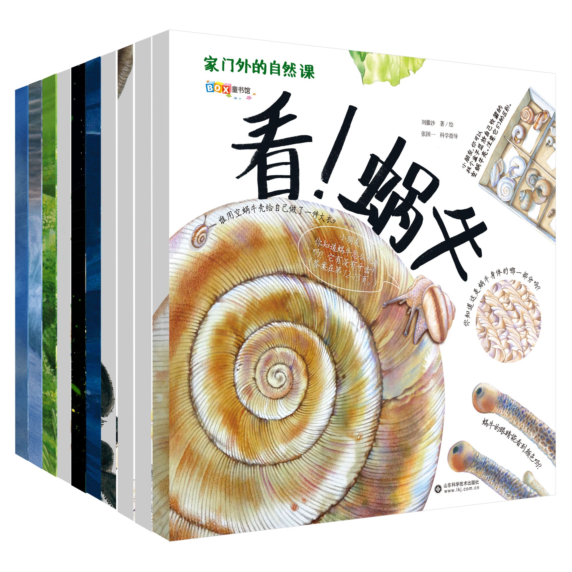《家门外的自然课》全10册自然盒子系列精装礼盒 DR看草儿蚂蚁蘑