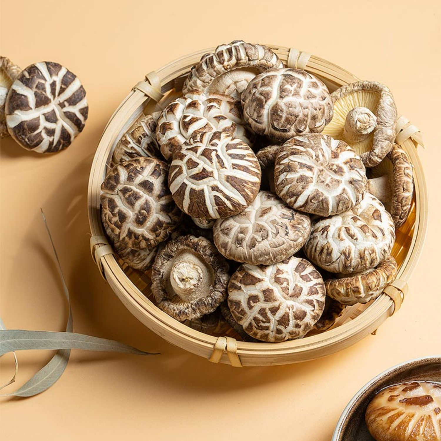 A新鲜农家大花菇250g/500g 干花菇椴木香菇菌菇蘑菇土特产营养菌