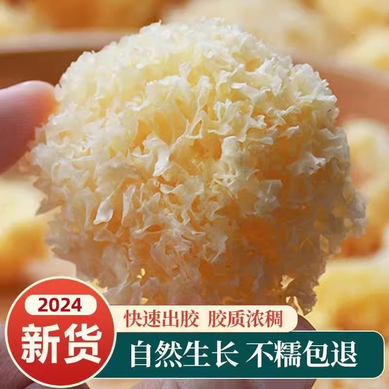 椴木银耳250g/500g 糯耳出胶高雪耳古田白木耳无硫丑耳搭配百合干
