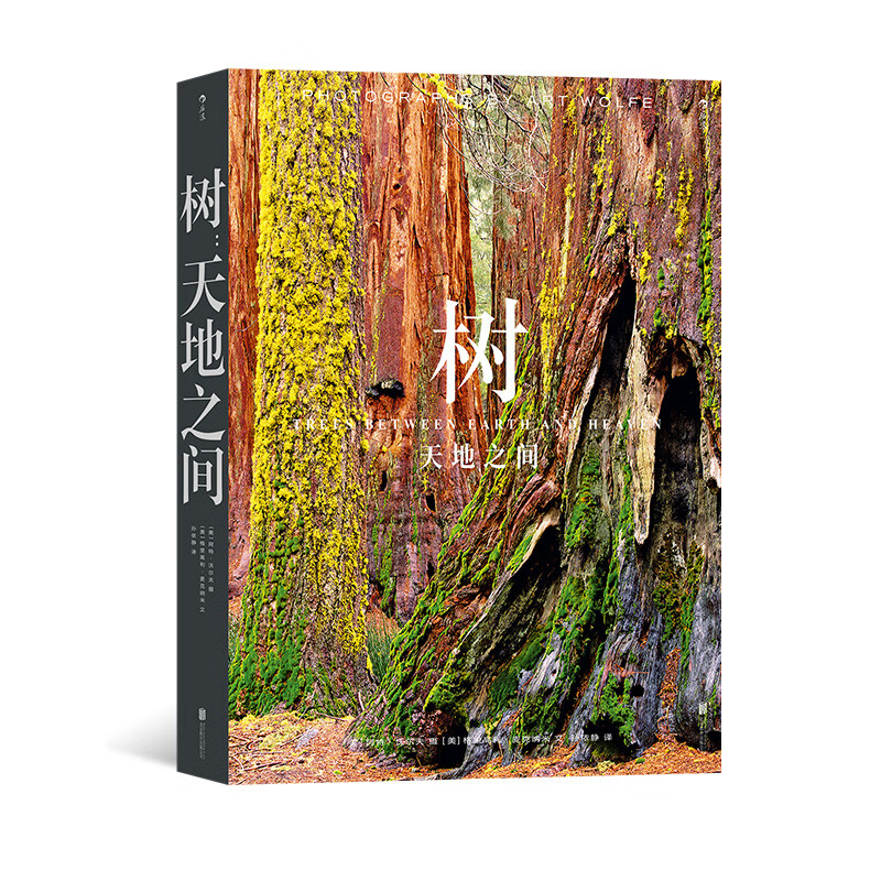 【瑕疵】树：天地之间 近300张绝美照片