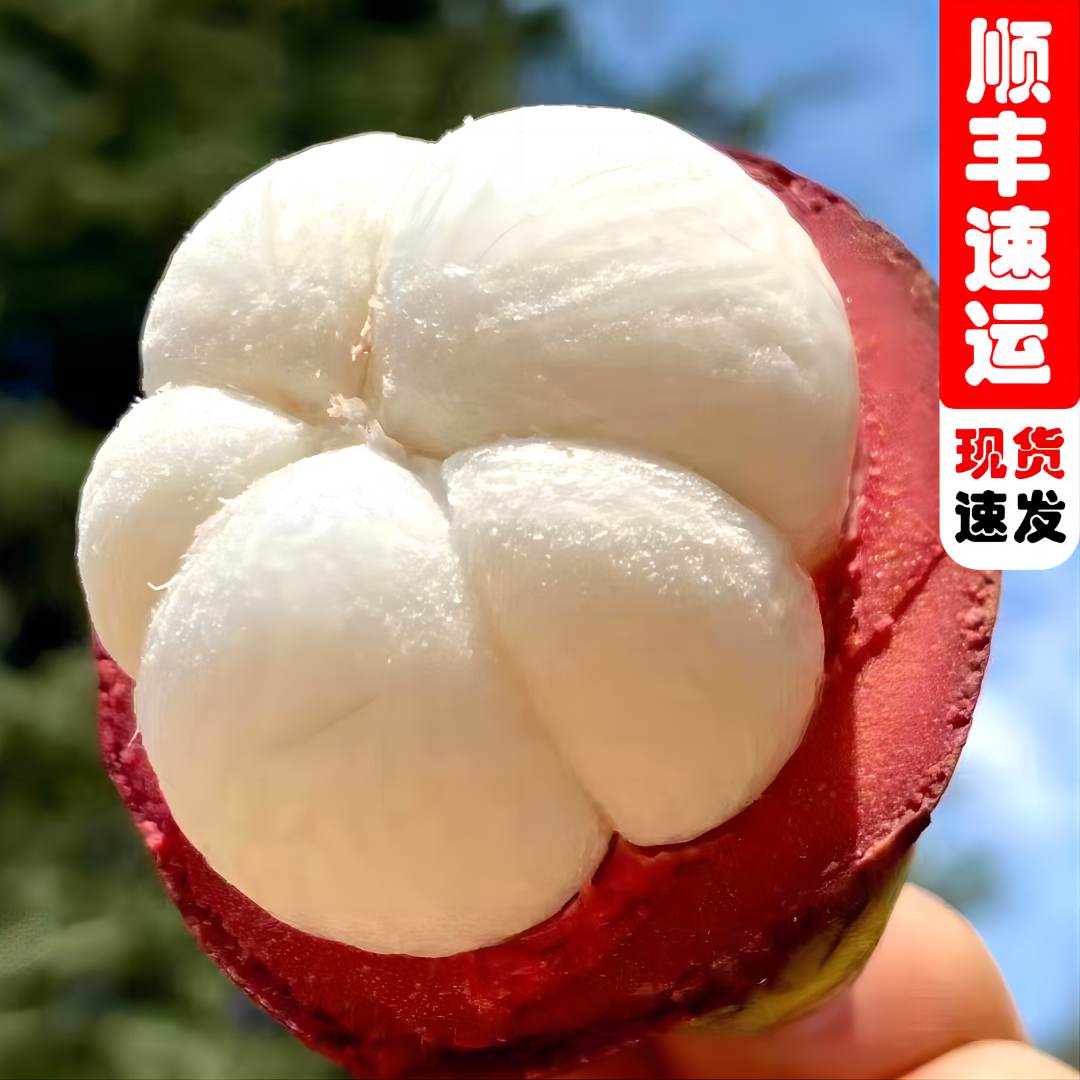 【顺丰速运】泰国进口山竹老树麻竹新鲜优选食用饱满到手3-5斤装