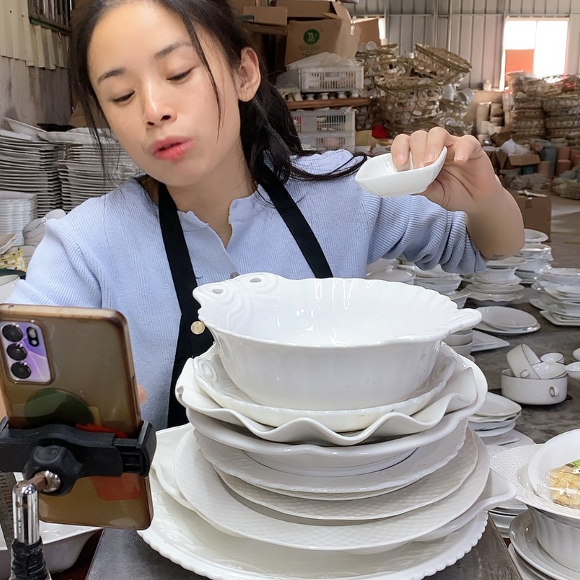 【闪购商品】陶瓷盘290十件套