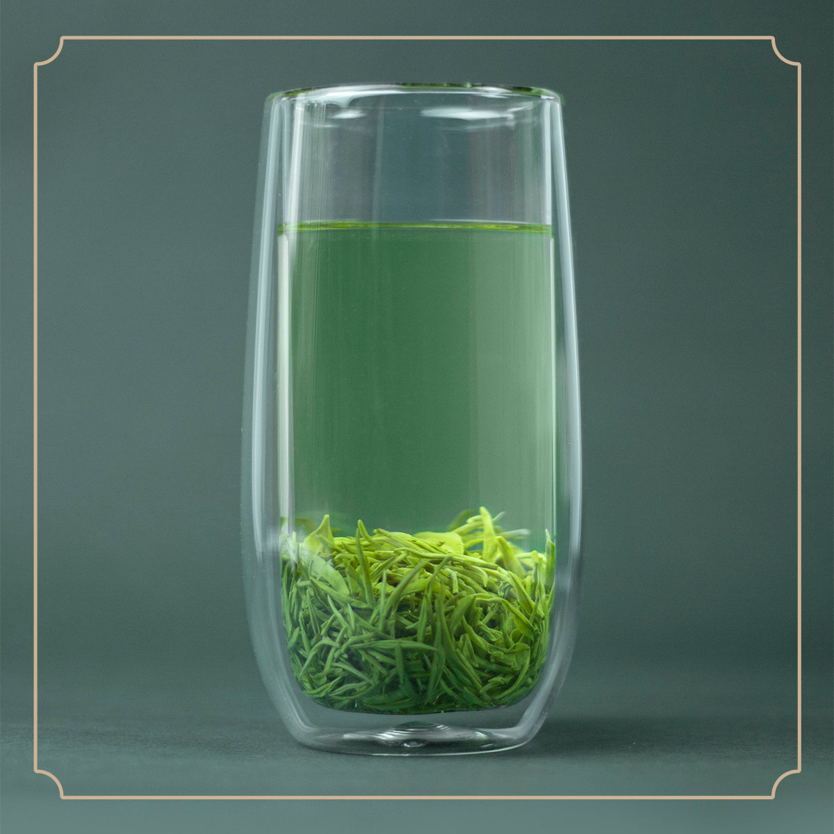 2025年明前狗牯脑茶绿茶单芽a2特供特级125克250克原产地匠心