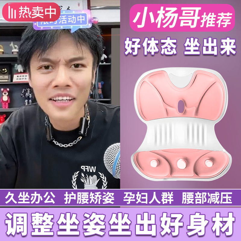 【小扬哥推荐】BK人体工学护腰坐姿椅矫正学习办公久坐护腰久坐不累