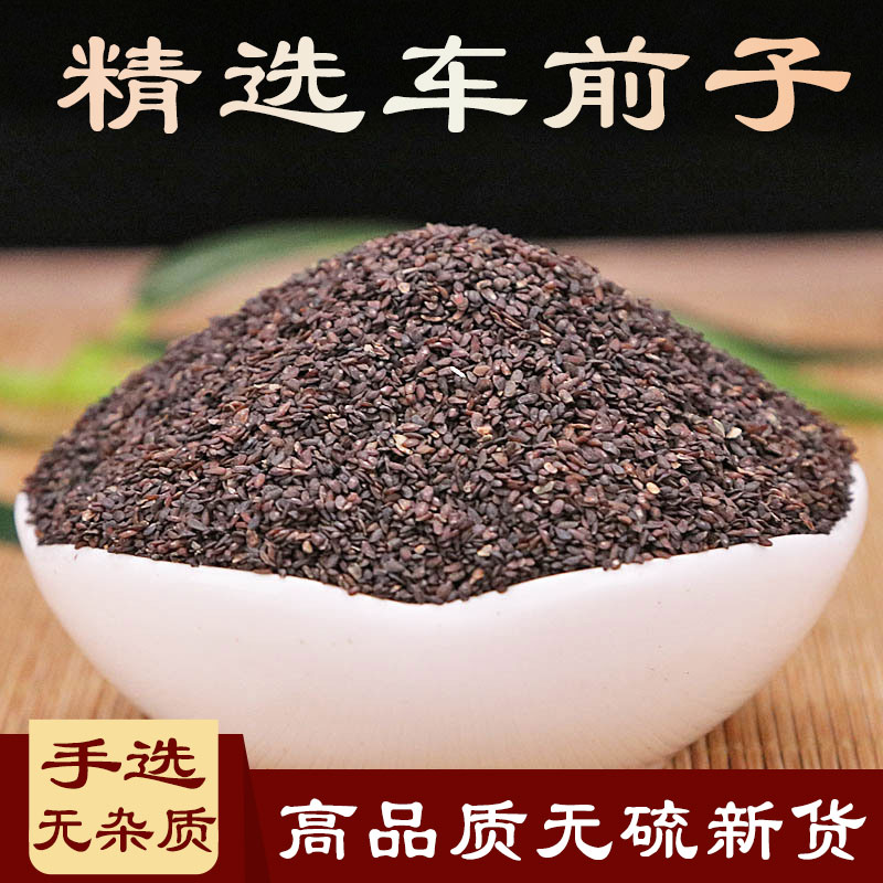 野生车前子精选车前草籽新货无硫250克-500克叶菜干货