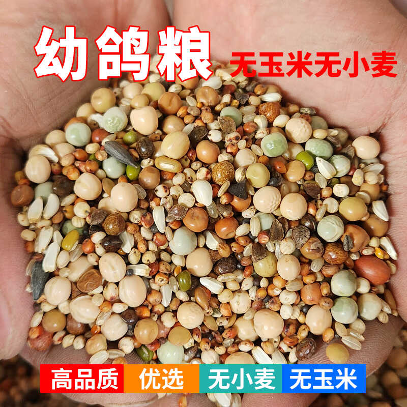 精品无玉米无小麦AAA级幼鸽粮鸟食鸽粮信鸽赛鸽肉食鸽观赏鸽饲料