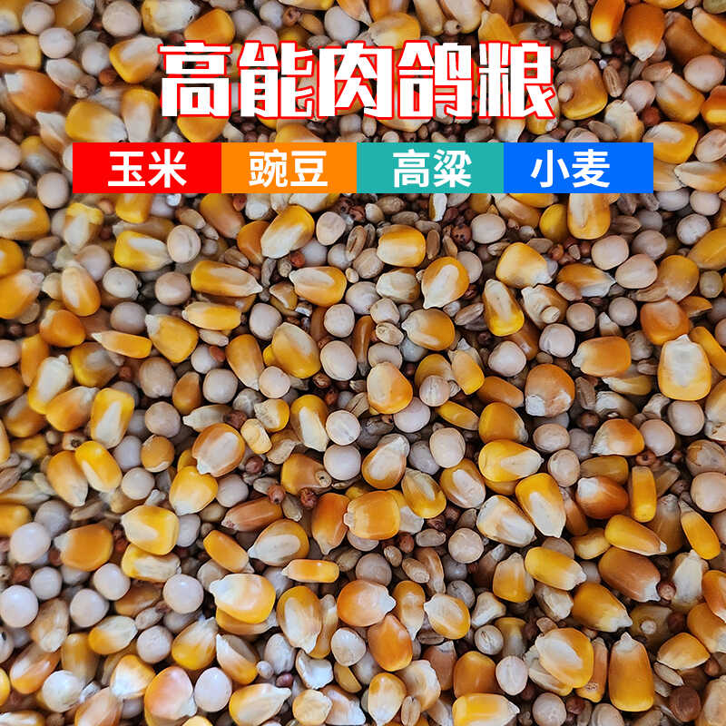 高能鸽粮肉鸽幼鸽成鸽肉种鸽玉米高粱豌豆小麦混合饲料信鸽观赏鸽