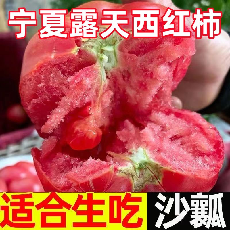 露天西红柿纯天然当季薄皮产地直发现摘新鲜斯产地直发
