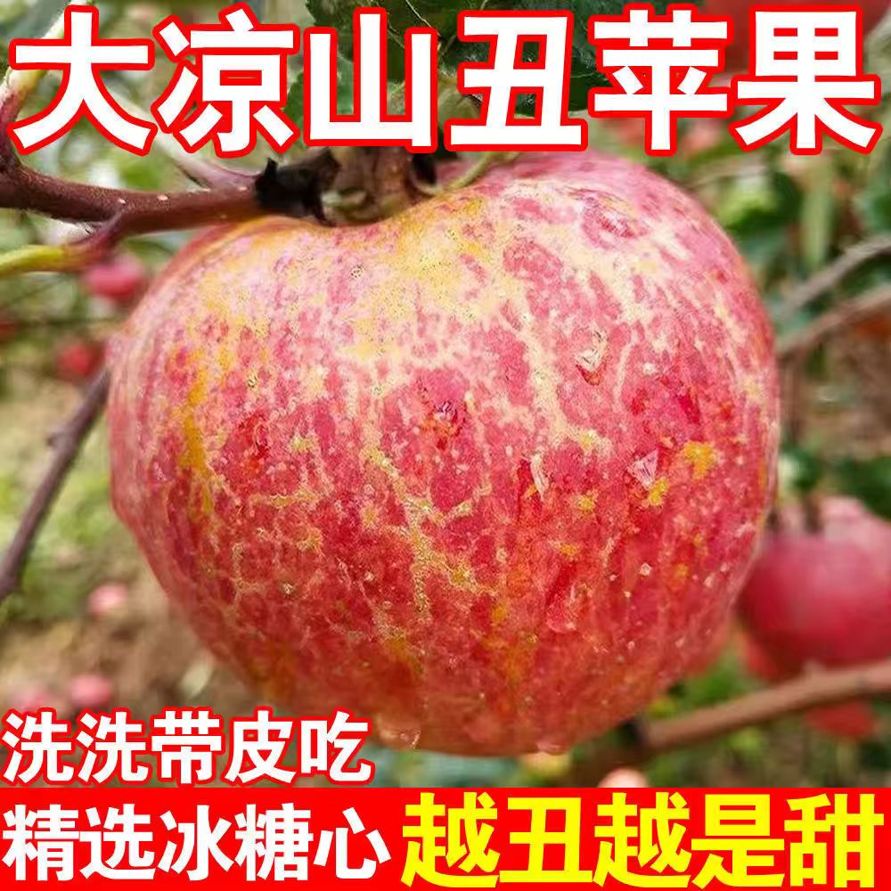 正宗大凉山丑苹果冰糖心苹果四川新鲜脆甜孕妇水果新鲜当季整箱