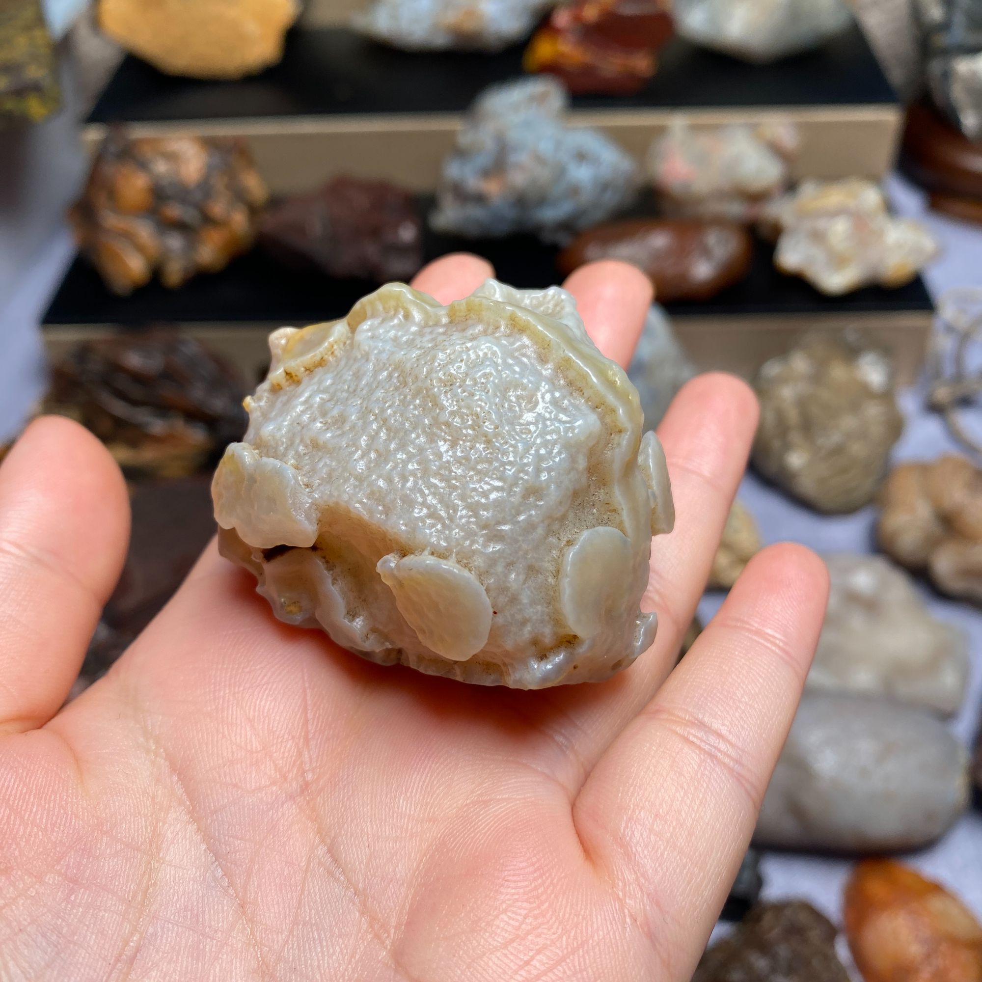 阿拉善戈壁石摆件直播专用链接把玩