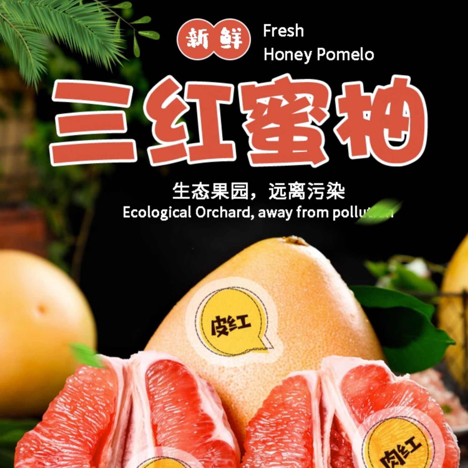 【专属】广东梅州三红蜜柚正宗老树红肉2个4个礼盒装新鲜多汁蜜柚