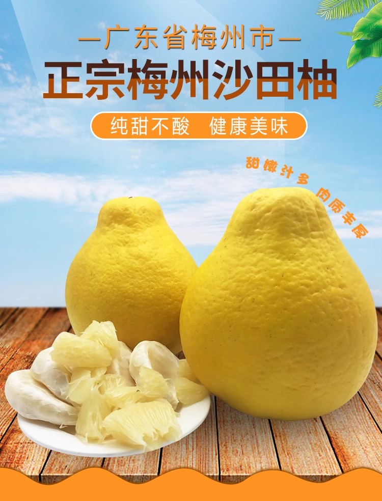 【梅州老树沙田柚】袋装纯甜无酸农家肥天然水果罐头老少皆宜家庭装