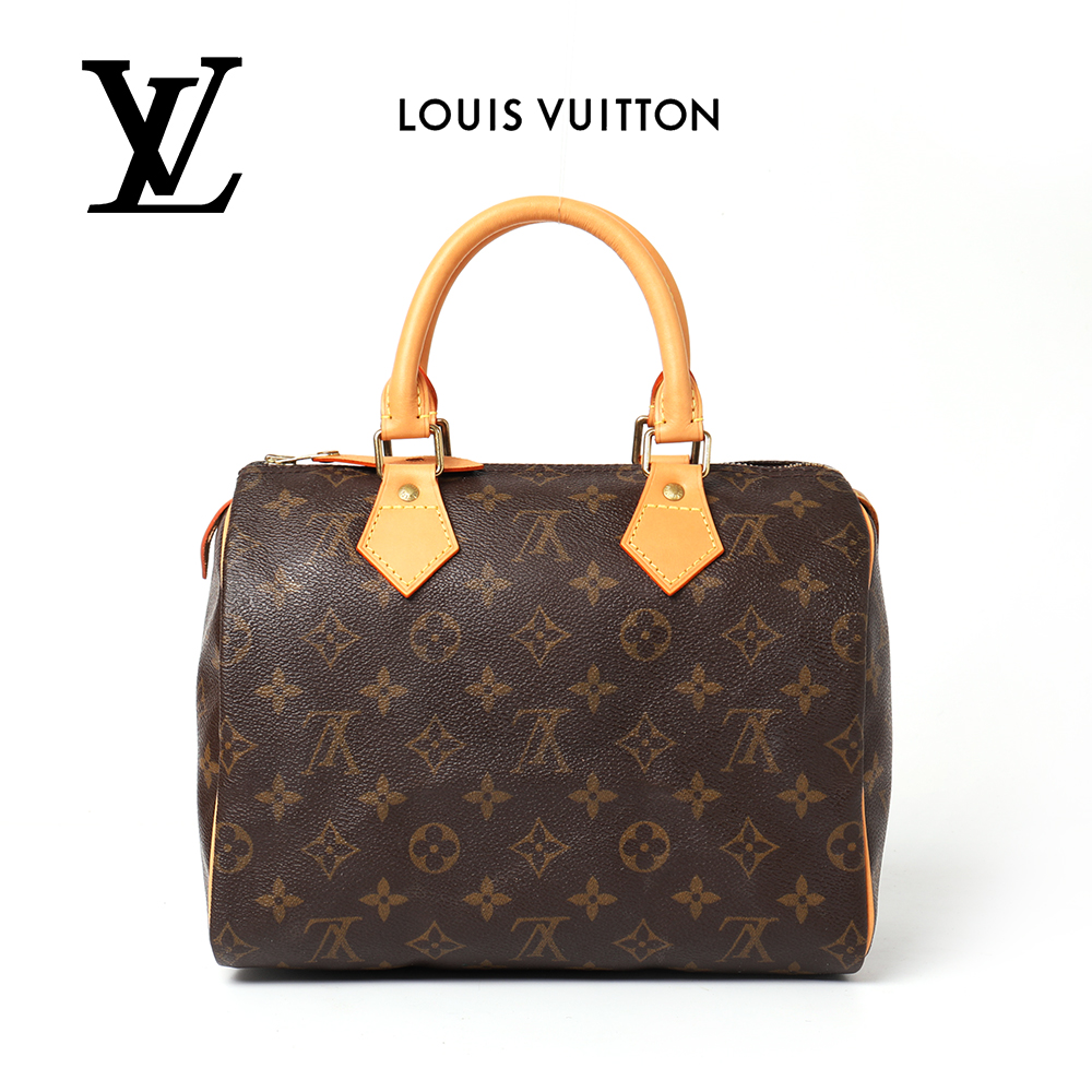 95新  95新 LouisVuitton/路易威登 LV枕头包30 sp30手提包经典
