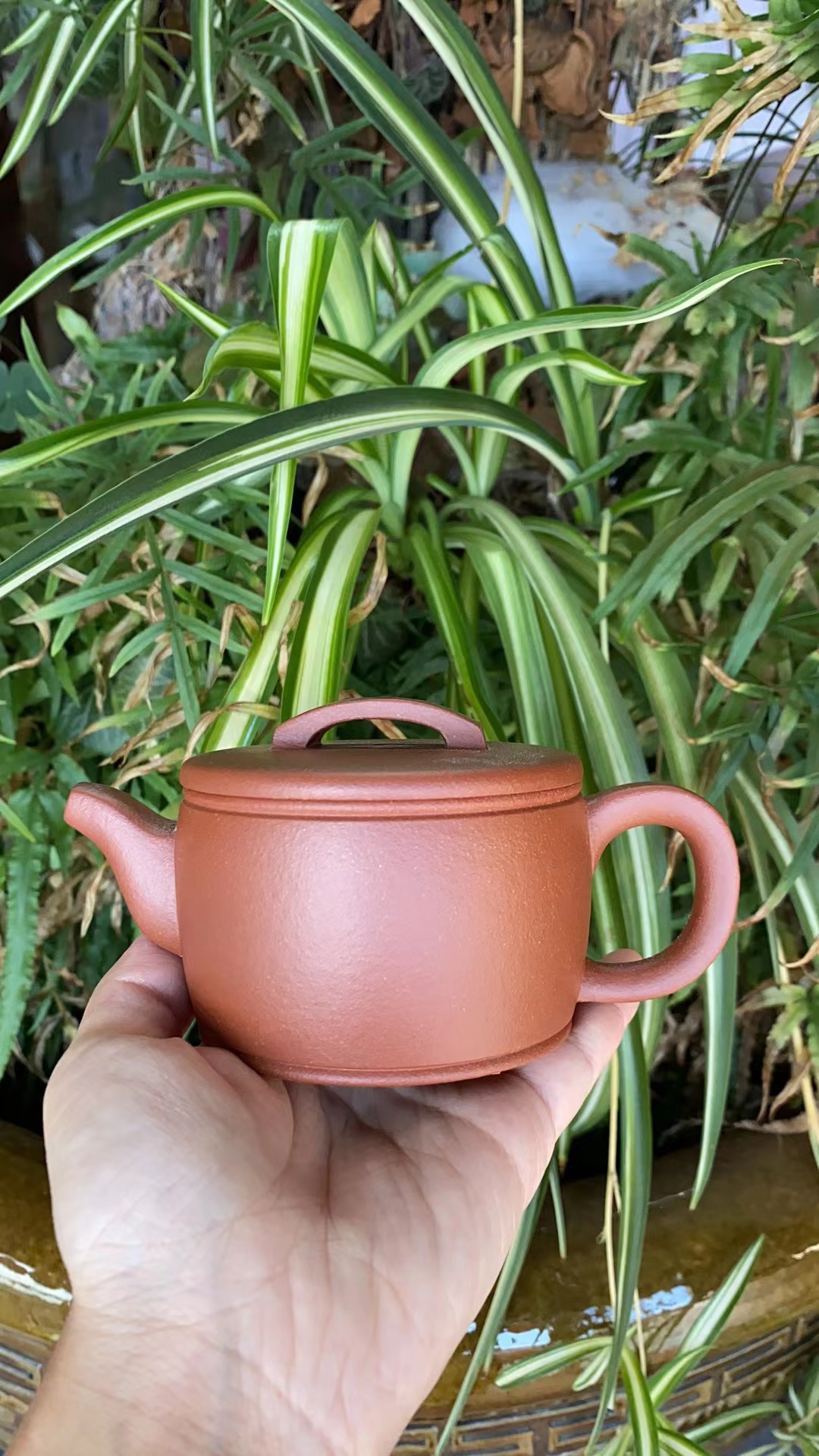 紫砂盲盒（壶，杯or茶叶）