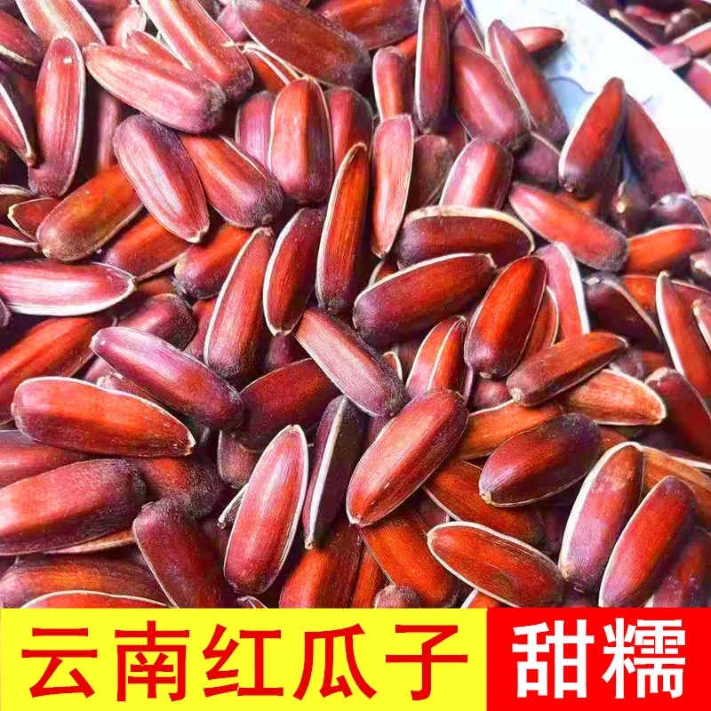 23年新货云南红皮瓜子水果原味生甜向日葵花籽瓜子坚果休闲零食品