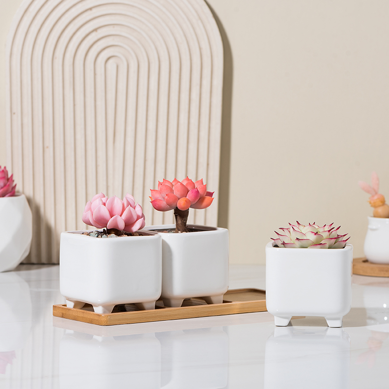 北欧白色多肉温馨陶瓷小花盆园艺ins温馨透气老桩带托盘客厅桌面
