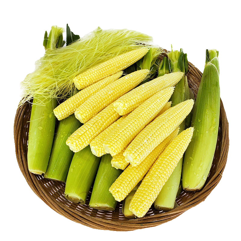 广西玉米笋心带皮迷你小玉米笋新鲜嫩玉米笋现摘食用批发包邮