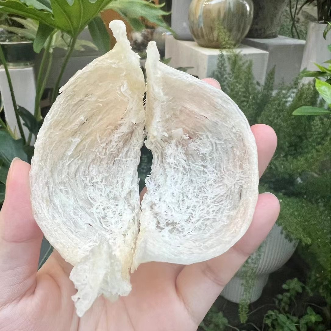 干挑官燕天盏燕窝100g—500g