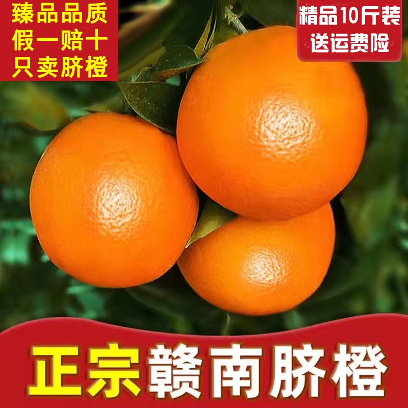 正宗江西赣南脐橙赣州新鲜应季水果10斤装大果甜橙子包邮产地直发